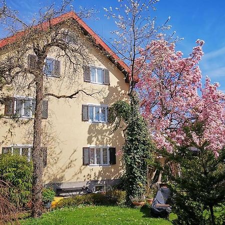 Tauernradweg Apartment: Spacious 3-Room Stay Near Salzburg Hallein Exterior photo