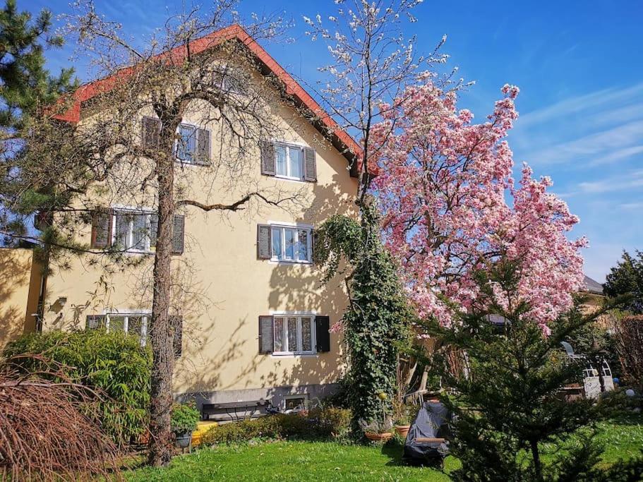 Tauernradweg Apartment: Spacious 3-Room Stay Near Salzburg Hallein Exterior photo